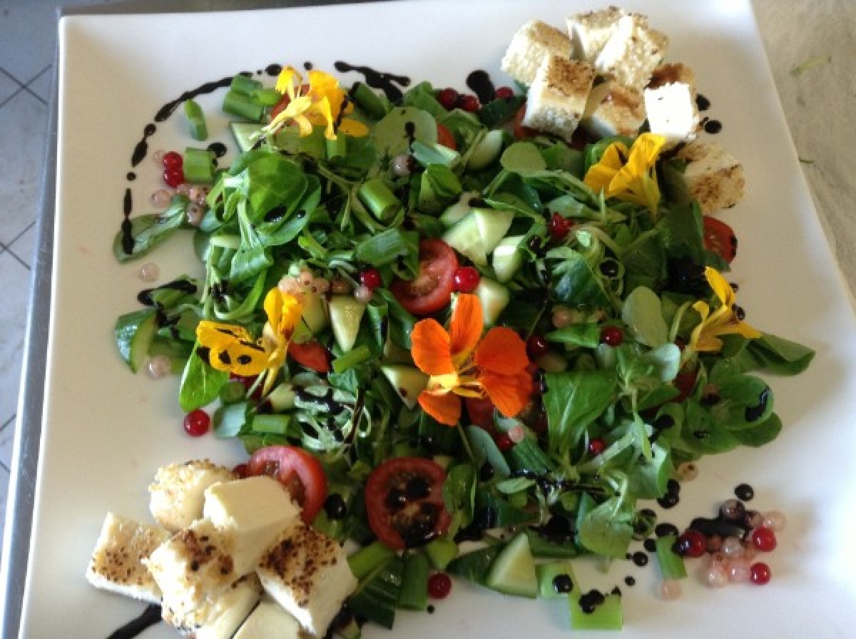 gallery/mediapool-79-795653-resources-34213577